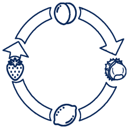 BySeason icon